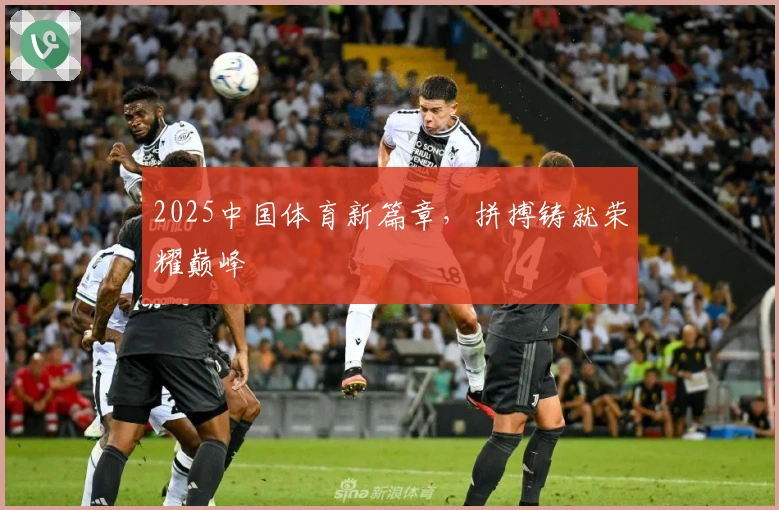 2025中国体育新篇章，拼搏铸就荣耀巅峰