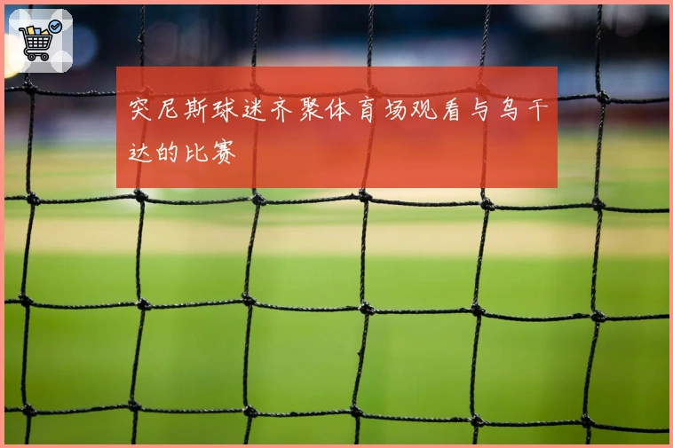 突尼斯球迷齐聚体育场观看与乌干达的比赛